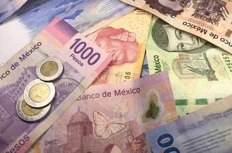 Fianza de anticipo para garantía de inversión